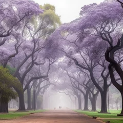 Gardinen Jacaranda trees park. Generate Ai © nsit0108