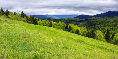 countryside scenery with meadow in mountains. grassy rural fields and pastures on the hills. cloudy day in spring
