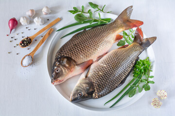 Fresh carp fish with herbs and spices on a plate on a white table