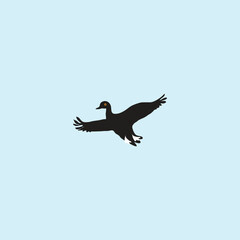 illustration of a flying wild  duck silhouette line art illustration