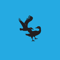 a flying  fighting birds  in the sky vector silhouette illustration