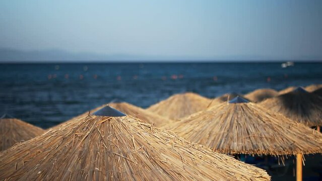 View of the tops of straw umbrellas. In the background, the blue sea is visible.
