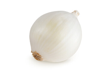Fototapeta premium White onion on an isolated white background