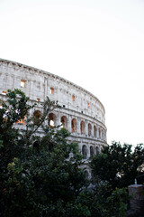 Coliseum - The Glorious History of Rome's Coliseum: A Symbol of Power and Brutality
