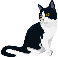 Black and white cat. Pet cat. Vector illustration.