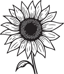 Sunflower vector illustration in black color, SVG