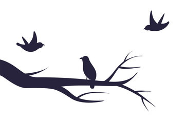 birds on a branch