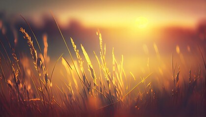 Abstract sunset banner field landscape of grass meadow on warm golden hour sunset or sunrise time. generative ai