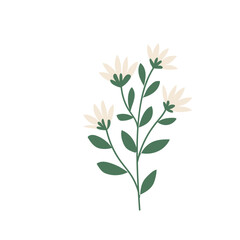 Obraz premium Flower Element