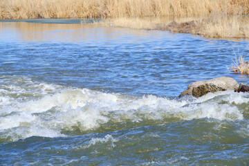 Stormy river flow of water against background of reeds.