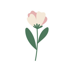 Fototapeta premium Flower Element