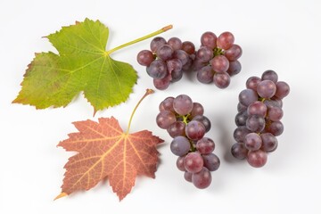 bunch of juicy grapes with a green leaf on a white background. Generative AI