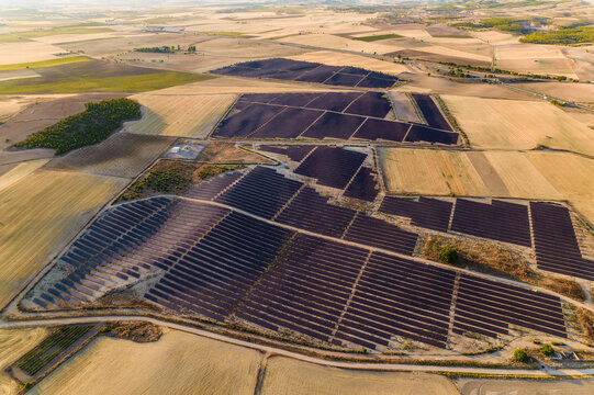 View from above of the solar power station with solar panels at sunset in Spain, Renewable Energy, Solar Energy, Saelices, Cuenca, Castilla La Mancha, Spain