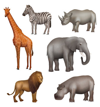 African animals. Hippopotamus zebra elephant lion wild realistic animals decent vector pictures set