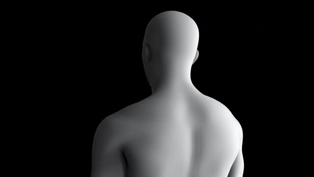 Basic human male figure - digital man - head and torso portrait turntable animation - 4K isolated on black background