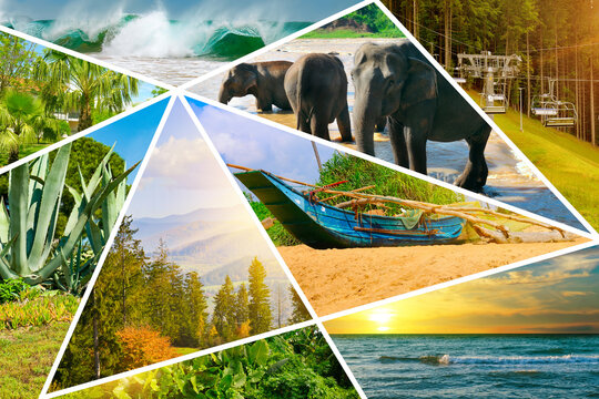 collage of landscapes and animals located in mosaic. Concept - vacation and travel.