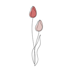 Outline tulip flower icon vector. One line continuous drawing. Contour silhouette isolated. Linear illustration. Floral design, print, beauty branding, card, poster. Minimal contemporary drawing.