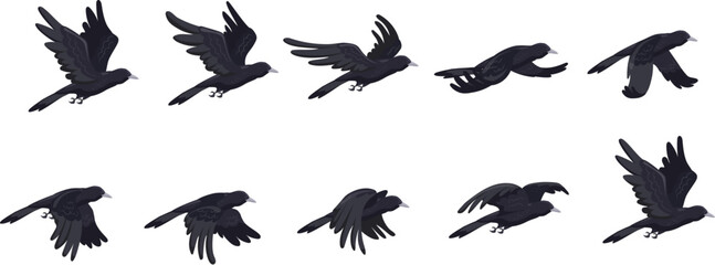 Crow flying animation. Animated fly raven bird sequence cycle, halloween enemies 2d game cartoon crows hovering in sky black birds gothic character sprite sheet vector illustration
