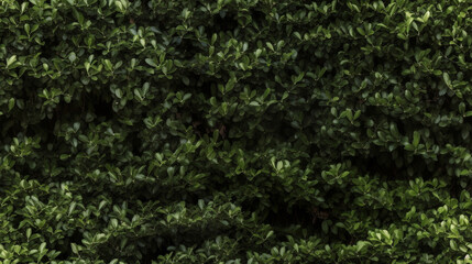 Hedge Seamless Repeating Texture, Generative AI