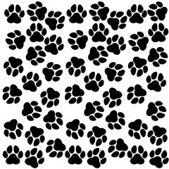 Paws pattern on white background	