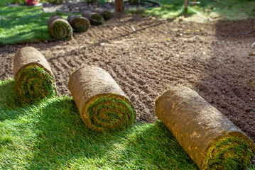 Stack of turf grass for lawn. roll of sod, turf grass roll.