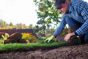 Landscape Gardener Laying Turf For New Lawn in the garden