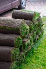 Roll of fresh sod grass planted on a newly landscaped lawn