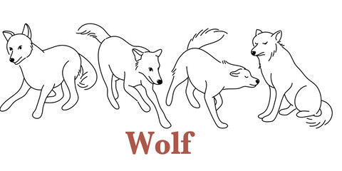 doodle style hand drawn, Wolves wild animals set of vector illustrations. Canis lupus. A dangerous mammal animal. Forest creature with dark fur. A character in various poses of cartoon design. Isolate