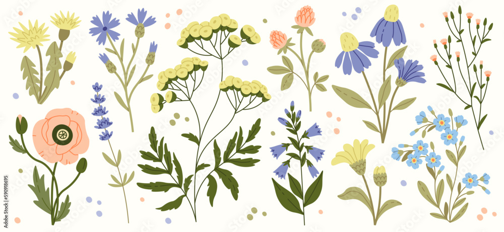 Sticker Wildflowers And Leaves Flat Illustrations Set. Spring Flowers Blossom. Cornflower, Poppy, Clover