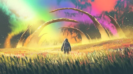 Foto op Plexiglas astronaut in flower meadow under the colorful night sky, digital art style, illustration painting © grandfailure