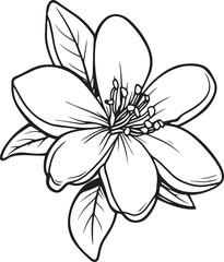 Jasmine flower silhouette vector illustration , SVG