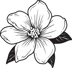 Jasmine flower silhouette vector illustration , SVG