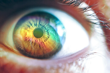 brown man eye, body part photography