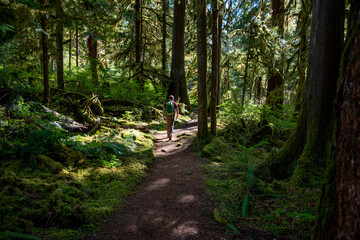 Adventurous athletic male hiker, hiking along a forest trail in the Pacific Northwest.
 - Powered by Adobe