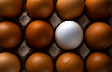 White egg in an egg box. white egg among other eggs. Stand out in the heap