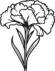 Carnations flower silhouette vector illustration , SVG