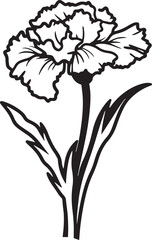 Carnations flower silhouette vector illustration , SVG
