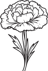 Carnations flower silhouette vector illustration , SVG