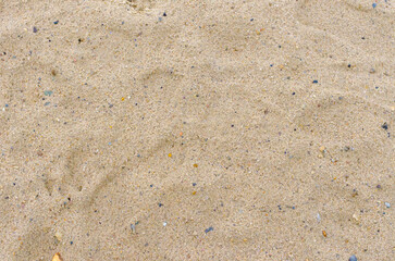 wet sand texture top view