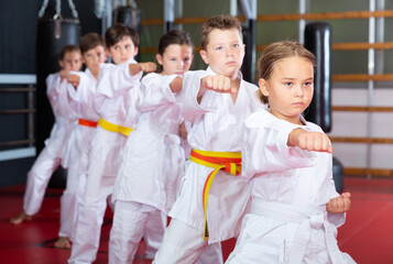 Fototapeta na wymiar Group of children posing together, practicing karate moves at class indoor