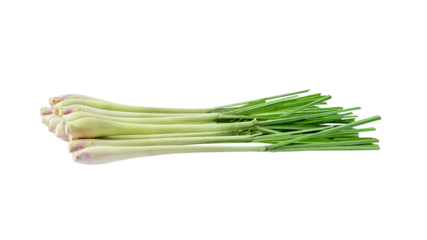 lemon grass Isolated on  transparent png