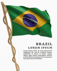 White Backround Flag Of  BRAZIL