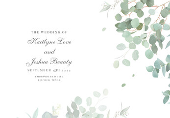 Herbal eucalyptus selection vector frame. Hand painted branches, leaves on white background © lavendertime