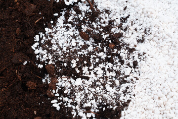 mixed soil and Perlite for plants. neutral material of volcanic origin