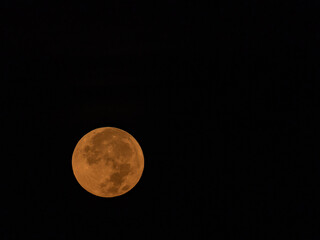 Fototapeta premium Orange Moon Sits Low In The Sky