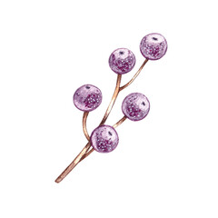 Watercolor sprig of purple berries on a white background