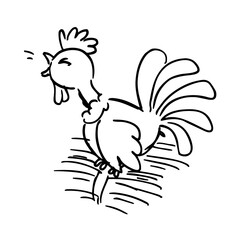 Rooster on a white background. Vector illustration in sketch style, rooster isolated on white background