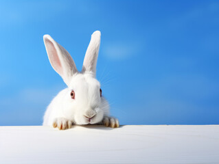 White rabbit peeking out from behind a white wall on blue sky background. Generative AI Technology.