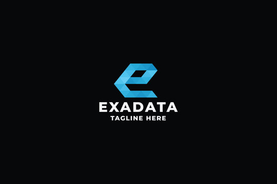 Exa Data Letter E Pro Logo Template
