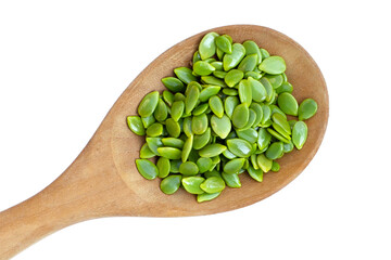 Leucaena leucocephala seeds on white background